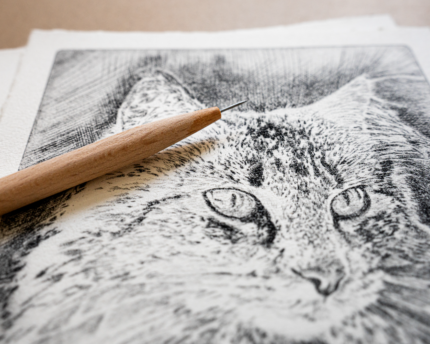 Torrnål - Introduktion till djuptryck